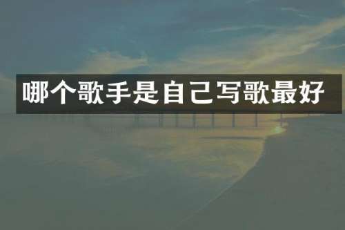 哪个歌手是自己写歌最好
