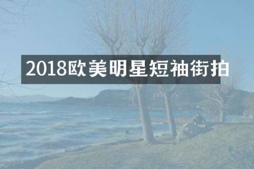 2018欧美明星短袖街拍