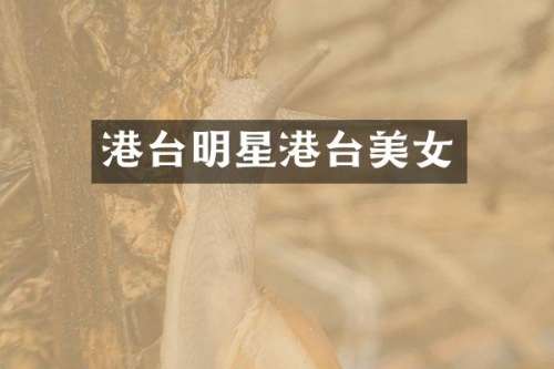 港台明星港台