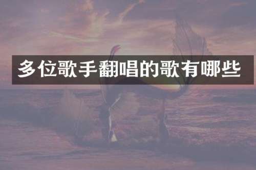 多位歌手翻唱的歌有哪些
