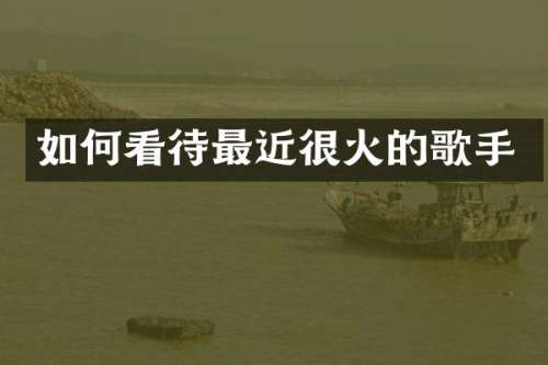 如何看待最近很火的歌手
