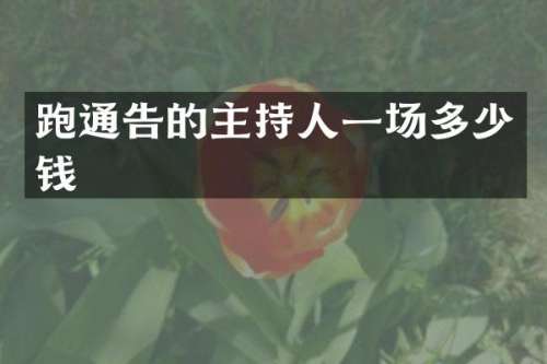 跑通告的主持人一场多少钱