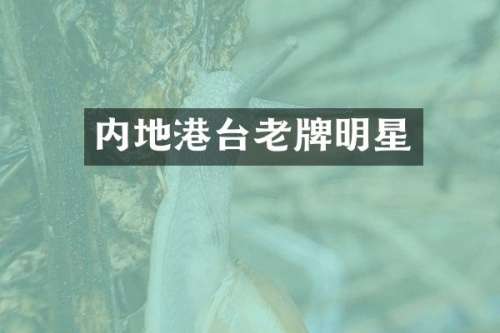 内地港台老牌明星