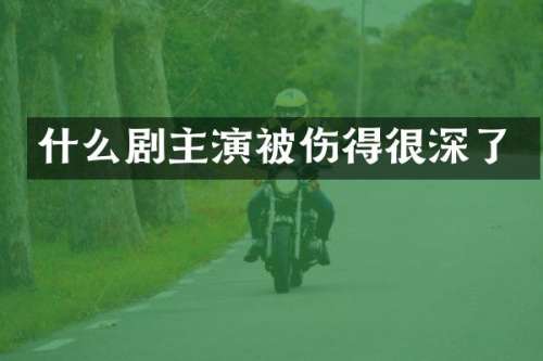 什么剧主演被伤得很深了