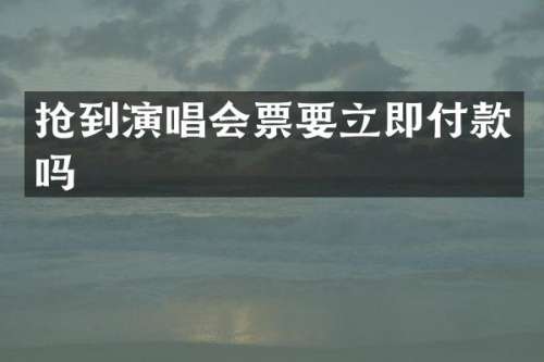 抢到演唱会票要立即付款吗