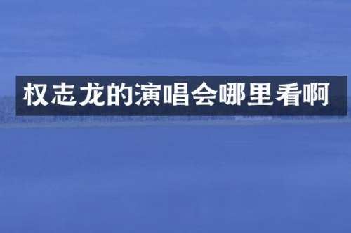 的演唱会哪里看啊