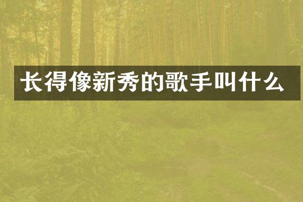 长得像新秀的歌手叫什么