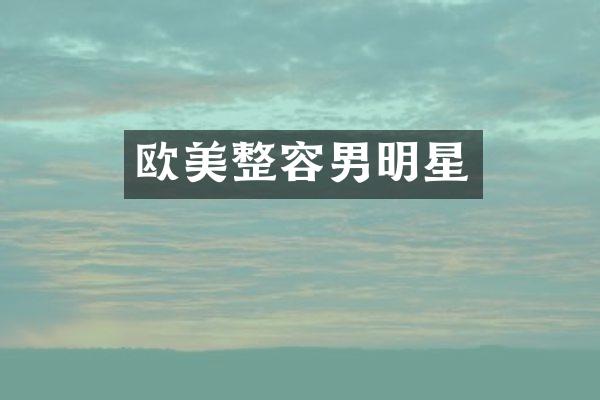 欧美整容男明星
