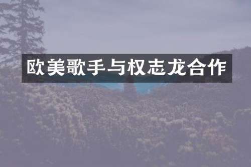 欧美歌手与合作