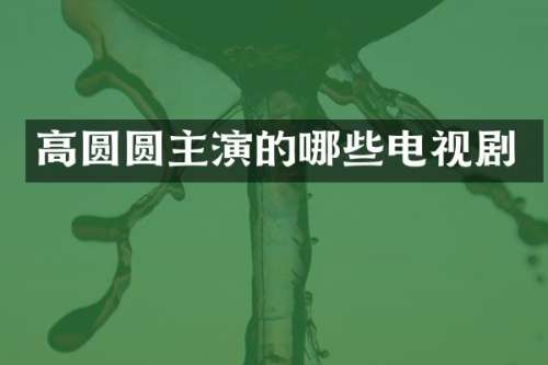 高圆圆主演的哪些电视剧