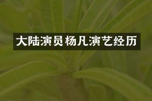 大陆演员杨凡演艺经历