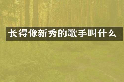 长得像新秀的歌手叫什么