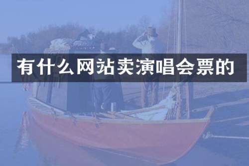 有什么网站卖演唱会票的