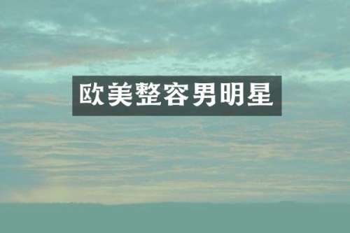 欧美整容男明星
