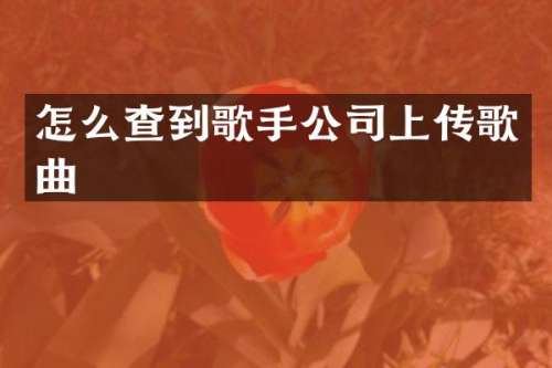 怎么查到歌手公司上传歌曲