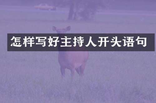 怎样写好主持人开头语句