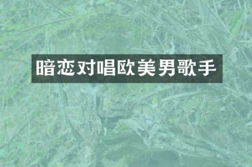 暗恋对唱欧美男歌手