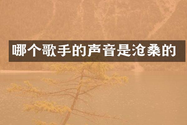 哪个歌手的声音是沧桑的