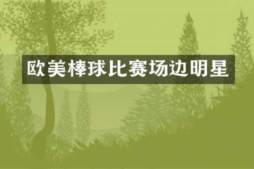 欧美棒球比赛场边明星