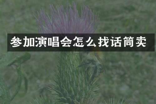 参加演唱会怎么找话筒卖