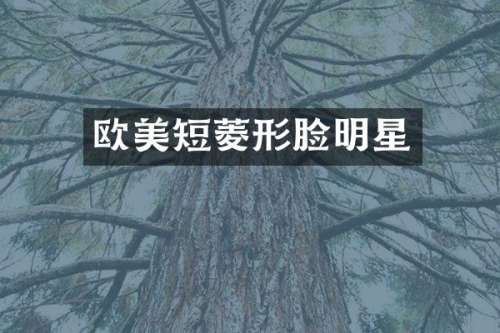 欧美短菱形脸明星