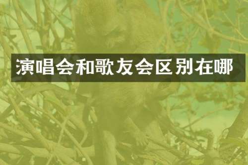 演唱会和歌友会区别在哪