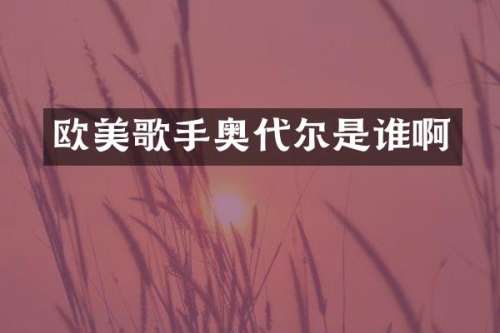 欧美歌手奥代尔是谁啊