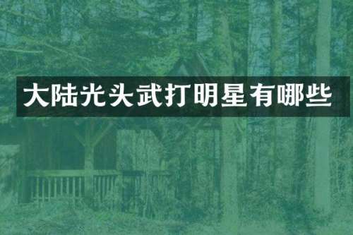 大陆光头武打明星有哪些
