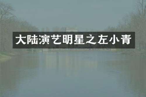 大陆演艺明星之左小青