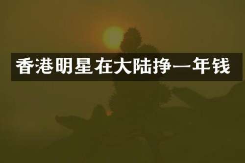 香港明星在大陆挣一年钱