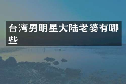 台湾男明星大陆老婆有哪些
