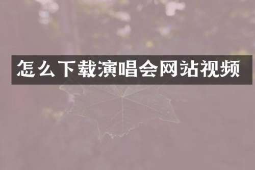 怎么下载演唱会网站视频