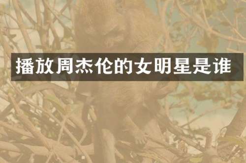 播放周杰伦的女明星是谁