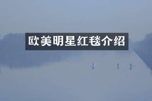 欧美明星红毯介绍