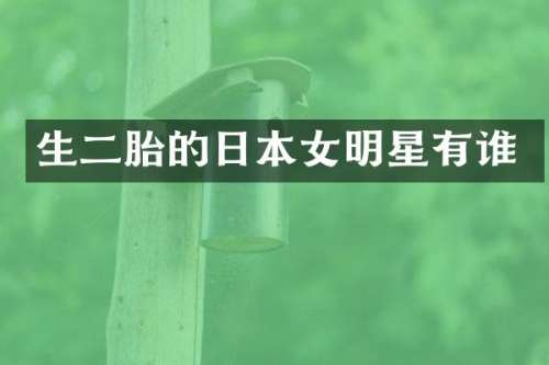 生二胎的日本女明星有谁