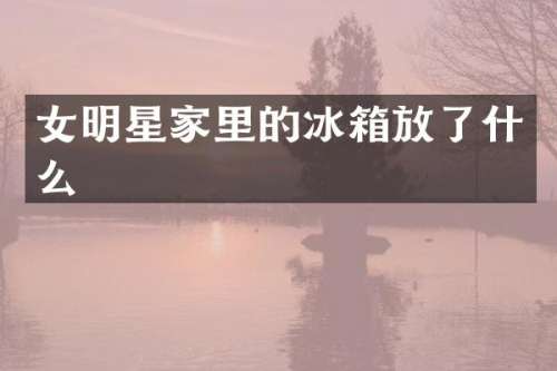 女明星家里的冰箱放了什么