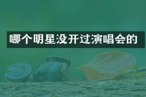 哪个明星没开过演唱会的