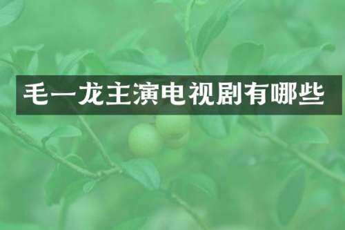 毛一龙主演电视剧有哪些