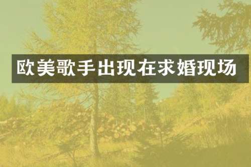 欧美歌手出现在求婚现场
