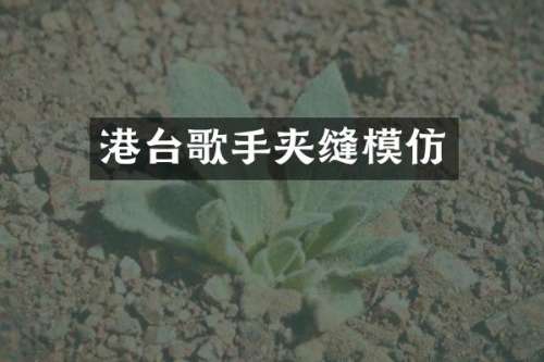 港台歌手夹缝模仿