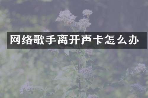 网络歌手离开声卡怎么办