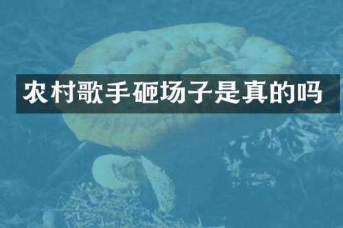 农村歌手砸场子是真的吗