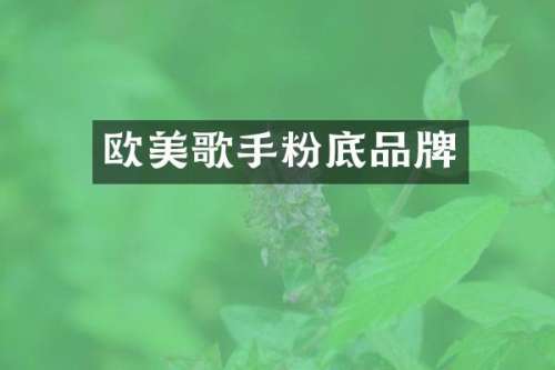 欧美歌手粉底品牌