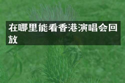 在哪里能看香港演唱会回放