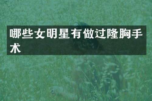 哪些女明星有做过隆手术