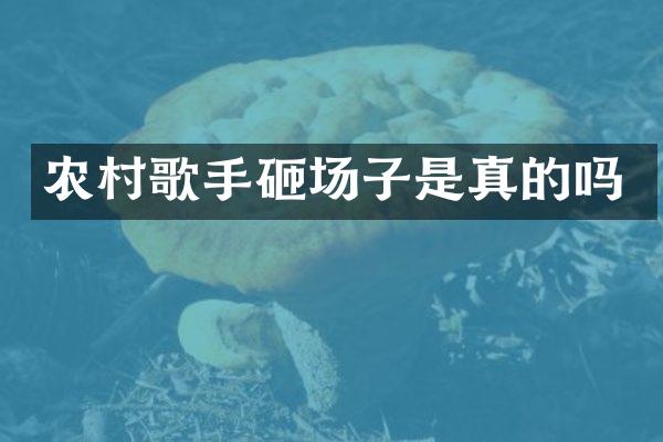 农村歌手砸场子是真的吗