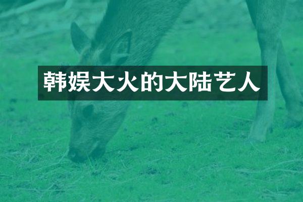 韩娱大火的大陆艺人