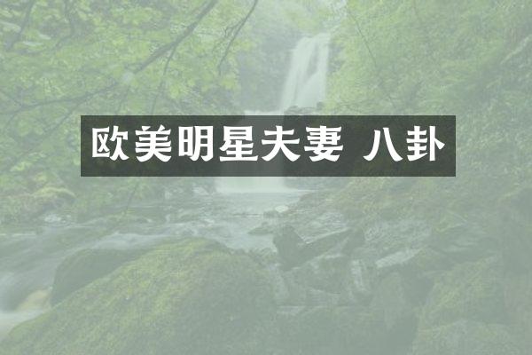 欧美明星夫妻 八卦