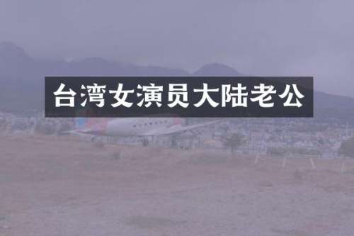台湾女演员大陆老公