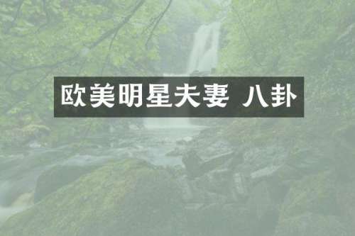 欧美明星夫妻 八卦